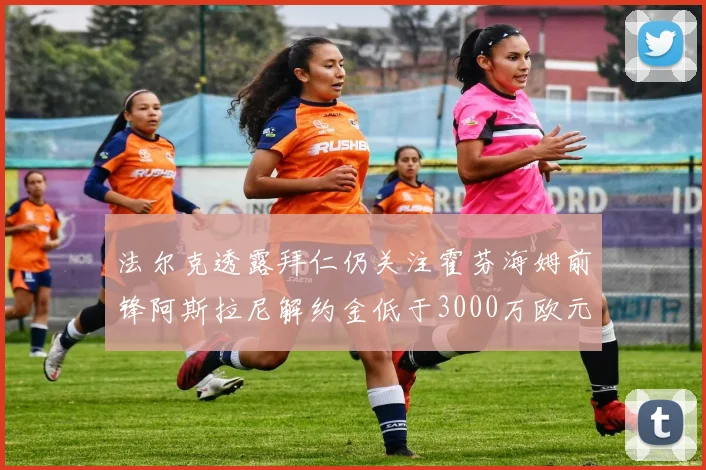 法尔克透露拜仁仍关注霍芬海姆前锋阿斯拉尼解约金低于3000万欧元