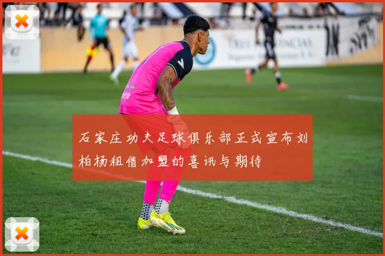 石家庄功夫足球俱乐部正式宣布刘柏杨租借加盟的喜讯与期待