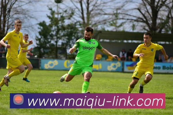 买球站APP 封面图